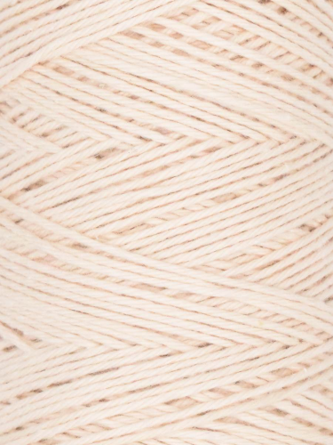 Coastal Cotton Fine Sport Weight Cotton Yarn by Queensland