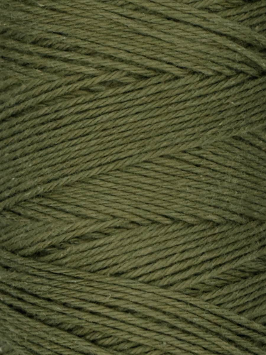 Coastal Cotton Fine Sport Weight Cotton Yarn by Queensland