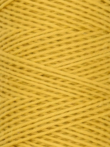 Coastal Cotton Fine Sport Weight Cotton Yarn by Queensland