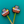 Load image into Gallery viewer, Silicone Knitting Needle Point Protectors Stoppers by Comma Craft Company