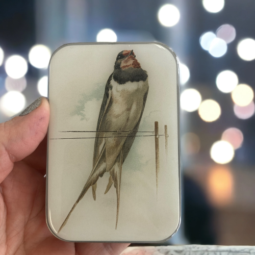 Notions Tins by Firefly Notes