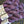 Load image into Gallery viewer, Coastal Sport Weight Yarn by Sincere Sheep