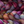 Load image into Gallery viewer, Nube Combed Top Spinning Fiber by Malabrigo