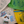 Load image into Gallery viewer, 2026 BAY Crawl Merch
