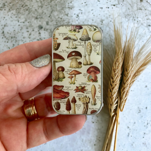 Small Notions Tins by Firefly Notes